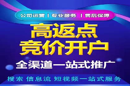 百度推广代运营公司案例分析